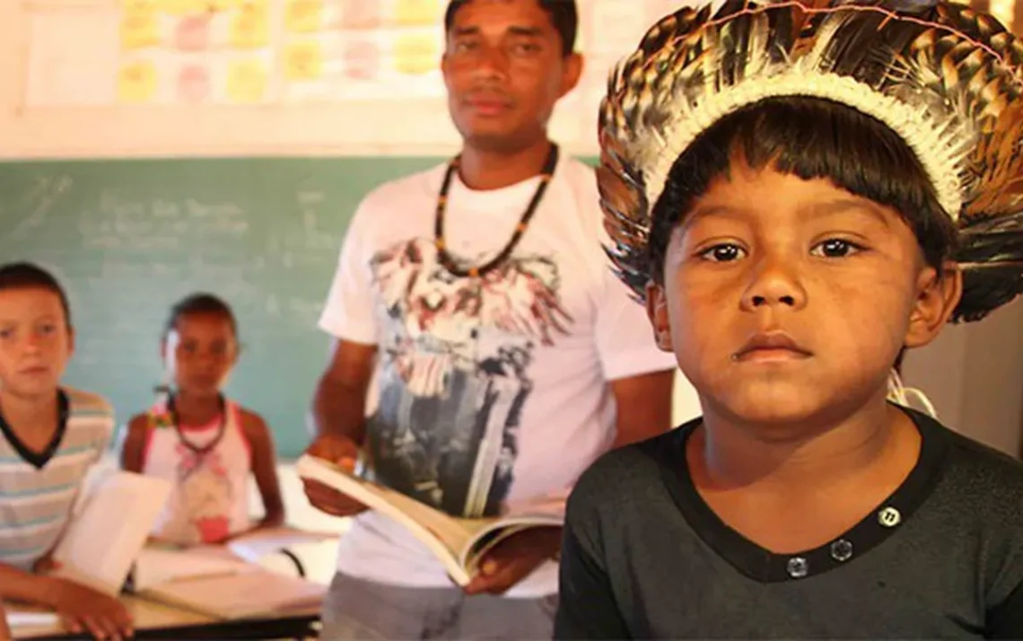 ensino, instrução, formação