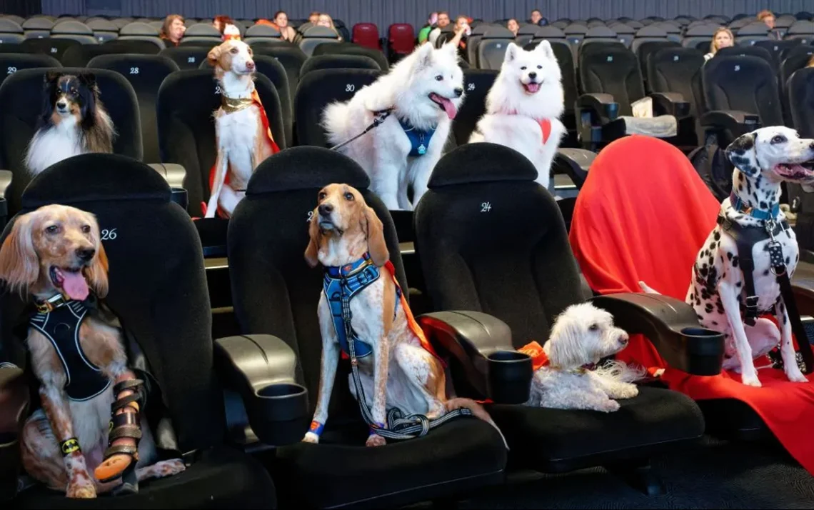 Dogs, no, Movies;