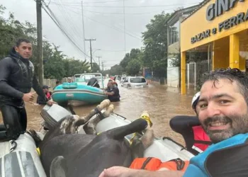 dirigente, eleito, administração, veterinário, professor, Ufrgs, ge, Inter, canal, ge Inter, cavalo, Caramelo, tragedia, povo, superação, afetados;