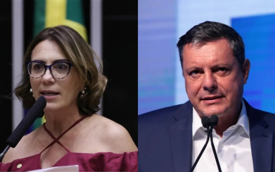 votos, intenções, eleitores.