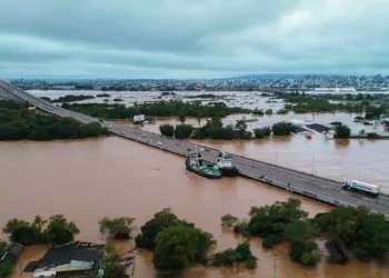 nove estados, estados da região, Consórcio do Nordeste, governos do Nordeste;