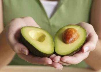 comidas, nutrientes, raízes;