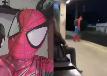 Homem-Aranha, herói, aracnídeo;