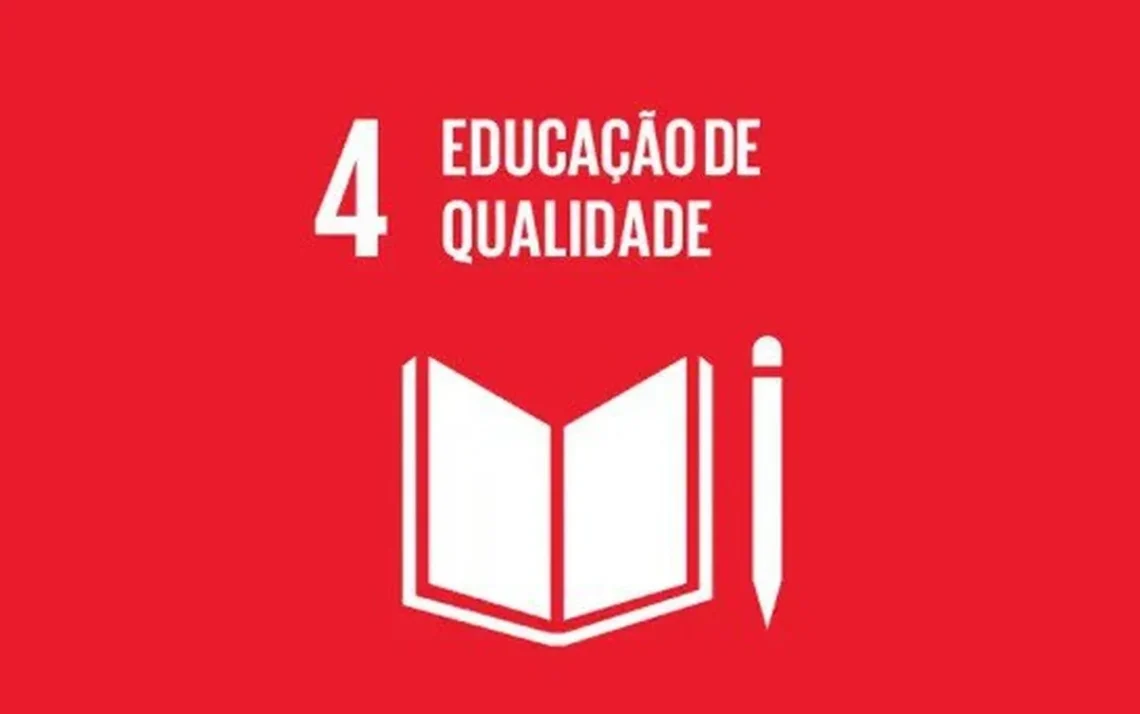 ensino, instrução, formação;