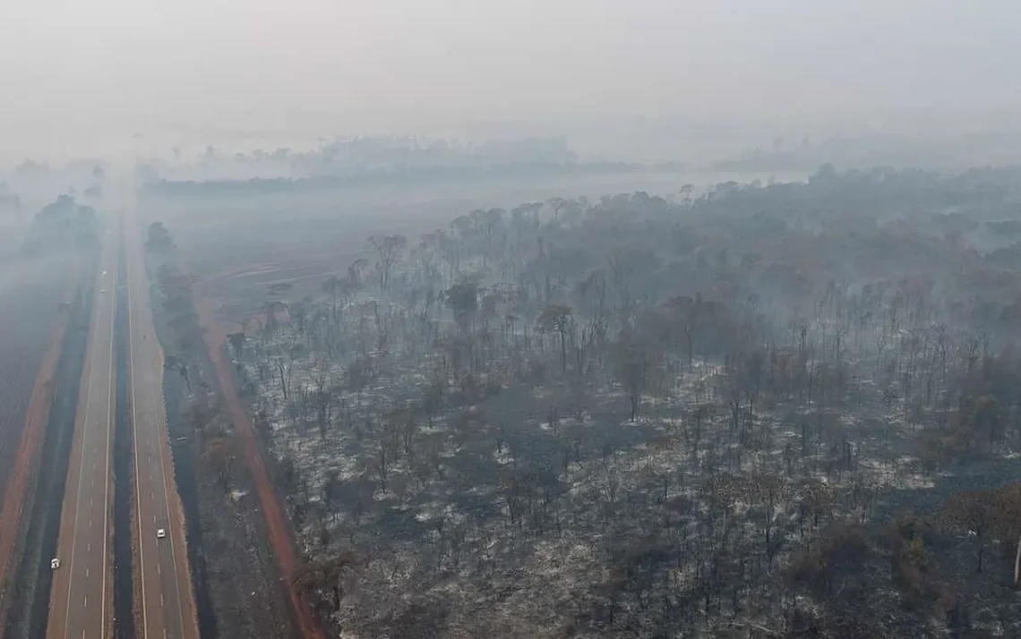 queimadas, focos de incêndios, chamas;