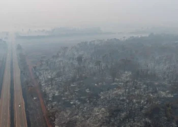 queimadas, focos de incêndios, chamas;