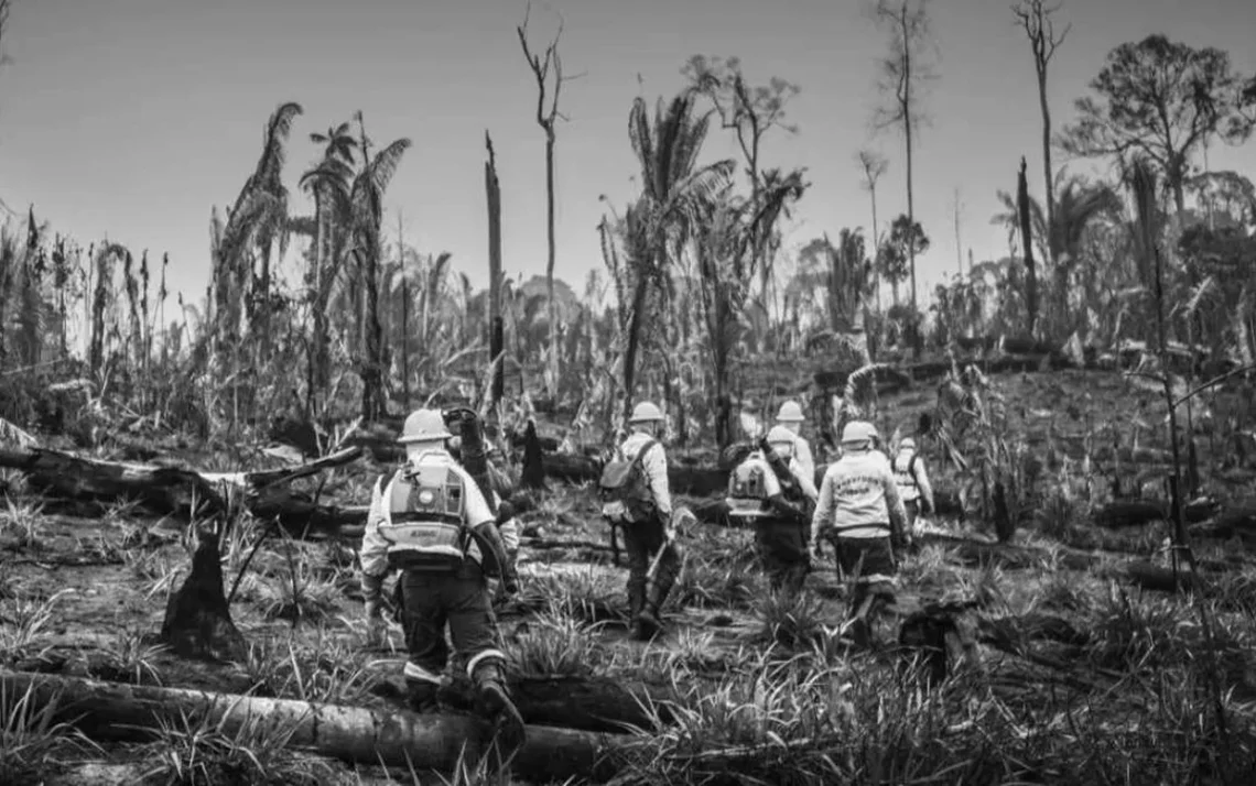 combatente, bombeiro, voluntário;