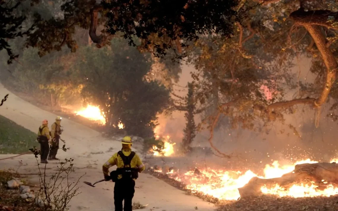 queimadas, focos, de incêndio;