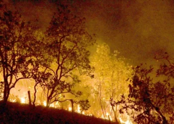 incêndios, focos de calor, chamas;