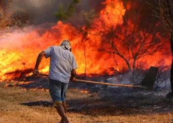 incêndios, fogo, incendiados, queimados';